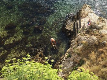 High angle view of people at rock formation