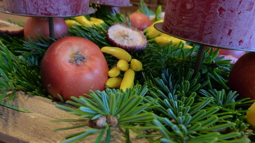 Close-up of food