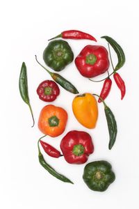 High angle view of tomatoes over white background