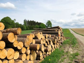 Stack of logs on field against sky