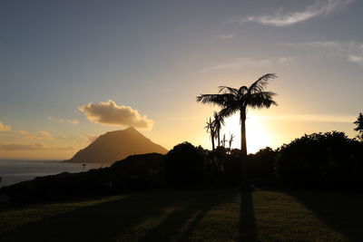 Silhouette palm trees by sea against sky during sunset