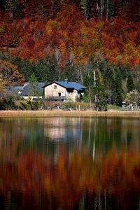 Reflection of plants and trees in lake