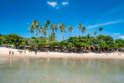 People by palm trees on beach against blue sky