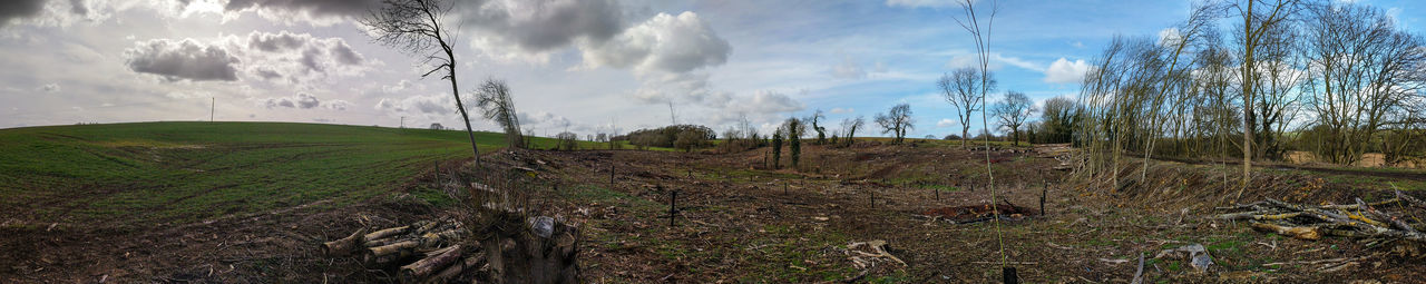 Panoramic view of grass against sky