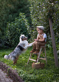 Full length of a boy with dog in basket