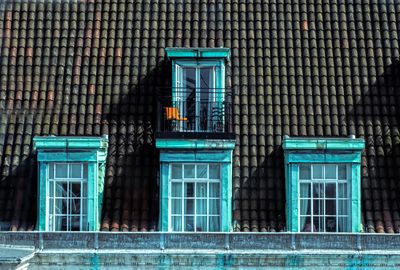 Building seen through window