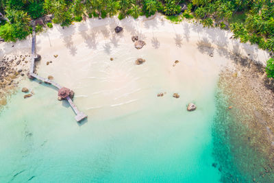 High angle view of people swimming in sea