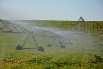 Scenic view of agricultural field against sky