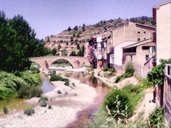 Houses with trees in background