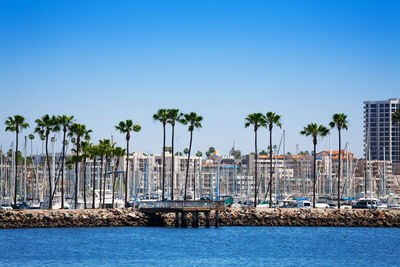 Panoramic shot of palm trees by sea against blue sky