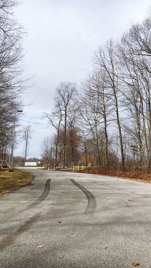 the way forward, transportation, road, tree, bare tree, diminishing perspective, vanishing point, road marking, country road, sky, street, empty road, empty, asphalt, tranquility, long, clear sky, nature, tranquil scene, day