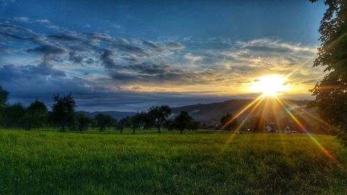 Scenic view of field against sky during sunset
