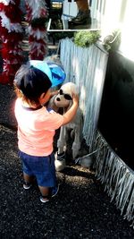 Boy playing with toy