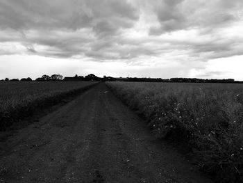 Empty road amidst agricultural field against sky