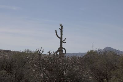 Low angle view of bare tree against sky