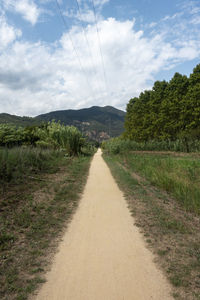 Road amidst green landscape against sky