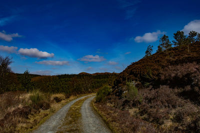 Road amidst plants against sky