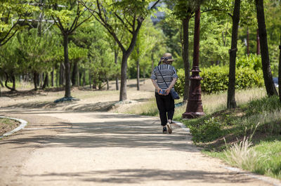 Rear view of woman walking on pathway by trees in michuhol park