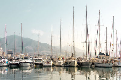 Sailboats moored in harbor