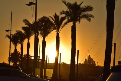 Silhouette palm trees by city against sky during sunset