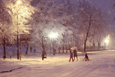 People on snow covered trees in city at night