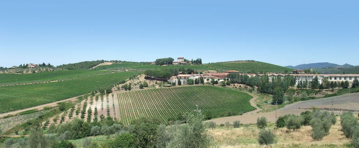 Scenic view of landscape against clear blue sky