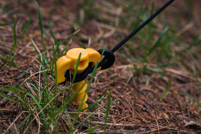 Close-up of yellow toy on field