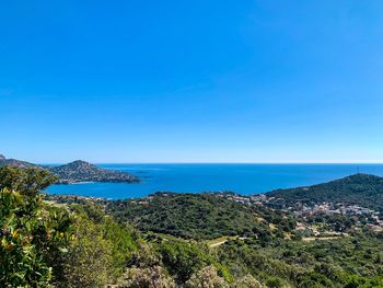 Scenic view of sea against clear blue sky