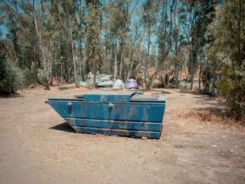 Lounge chairs in forest