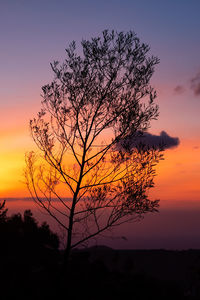 Silhouette tree on field against romantic sky at sunset