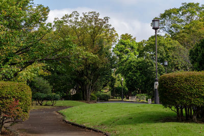 Trees in park against sky