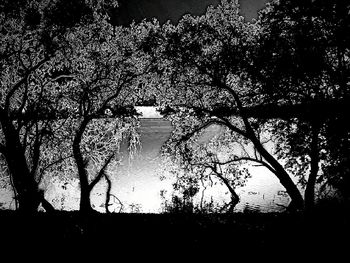 Low angle view of silhouette trees against the sky