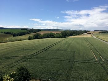 Scenic view of agricultural field against sky