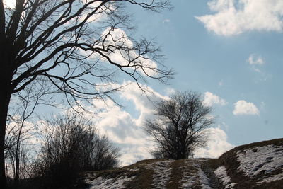 Low angle view of bare trees against sky