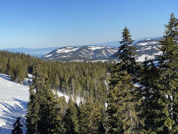 Mount washington