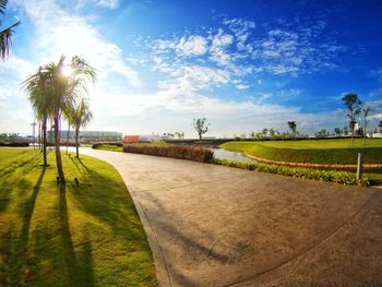 Scenic view of palm trees on field against sky