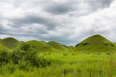 Scenic view of green field against sky