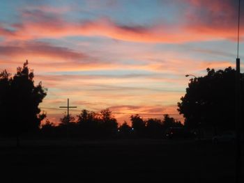 Silhouette of trees at sunset