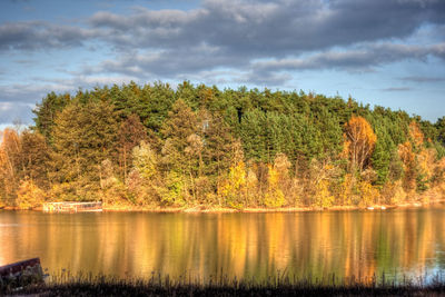 Trees by lake against sky