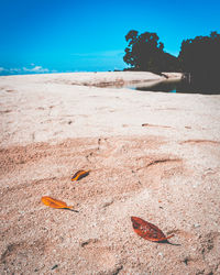Close-up of sand on beach against sky