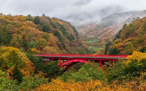 Red bridge, higashiizawa surrounded with beautiful autumn colors trees.