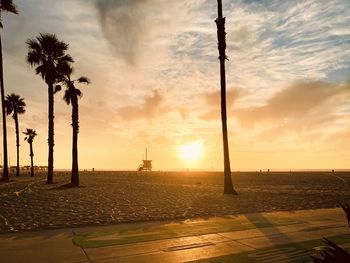 Street by palm trees against sky during sunset