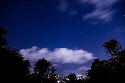 Low angle view of trees against sky at night