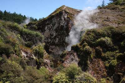 Scenic view of waterfall