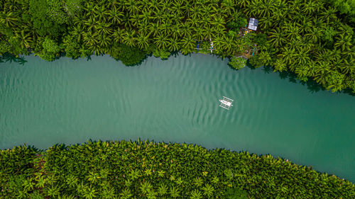 Aerial view of boat in sea against trees
