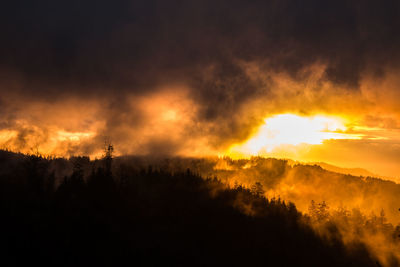 Silhouette trees against smoke emitting from mountains