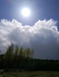 Scenic view of trees against sky