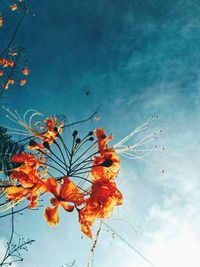 Low angle view of flowering plant against blue sky