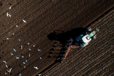 Aerial view of a tractor ploughing a fertile agricultural field with seagulls scavenging for food