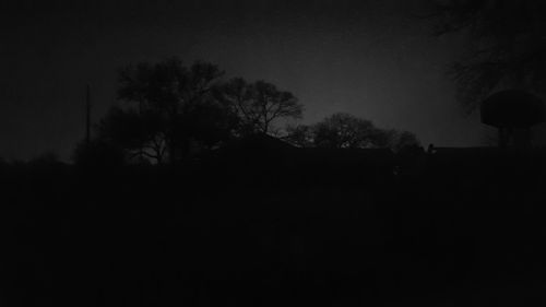 View of trees at night